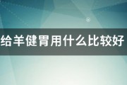 給羊健胃用什麽比較好