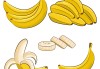 減肥可以吃香蕉嗎什麽時候吃減肥可以吃香蕉嗎