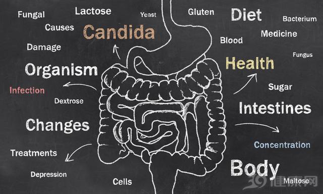 腸道是第二個(ge) “大腦”：改善腸道健康<strong>腸道</strong>，可用上4個(ge) “腸識”