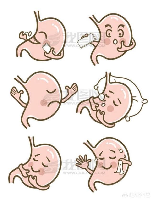 胃腸炎就是腸胃炎<strong>腸胃炎</strong>？兩(liang) 者是同一種疾病嗎？