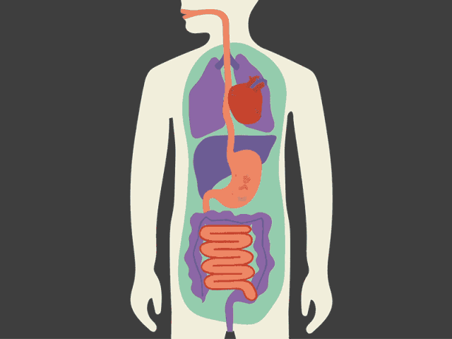 腸道<strong>腸道</strong>，你真的了解嗎(轉載)