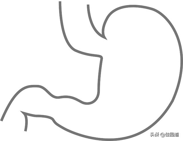 腸胃隱痛<strong>腸道</strong>，什麽(me) 原因？