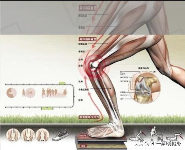 為(wei) 什麽(me) 跑步減肥不提倡<strong>跑步減肥</strong>?