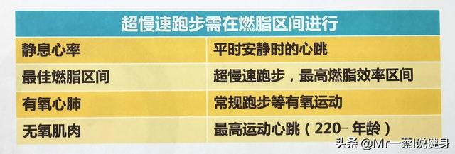 為(wei) 什麽(me) 跑步減肥不提倡<strong>跑步減肥</strong>?