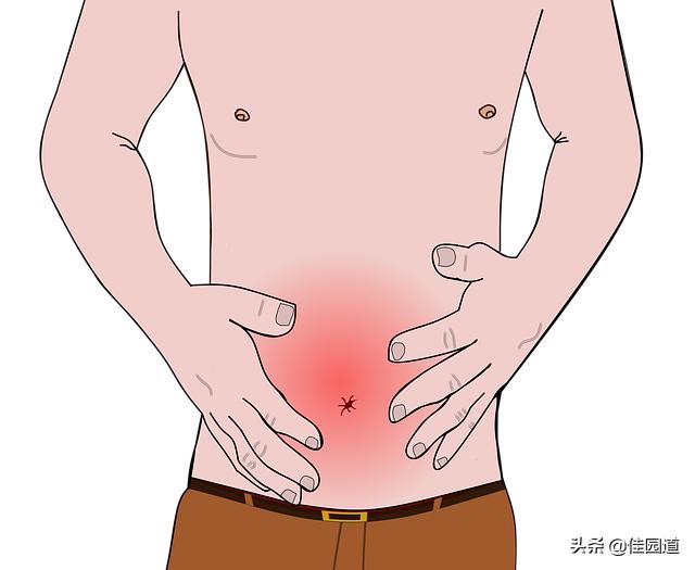 直腸炎一般痛在哪裏?感覺如何<strong>腸病</strong>？