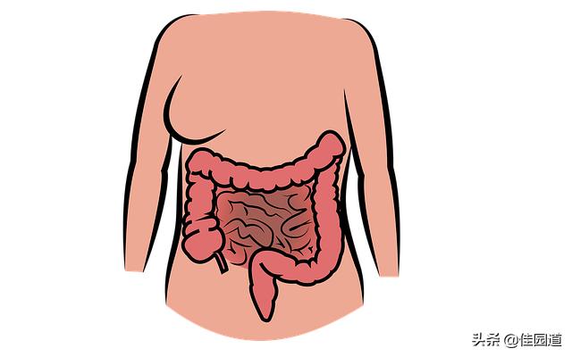 直腸炎一般痛在哪裏?感覺如何<strong>腸病</strong>？
