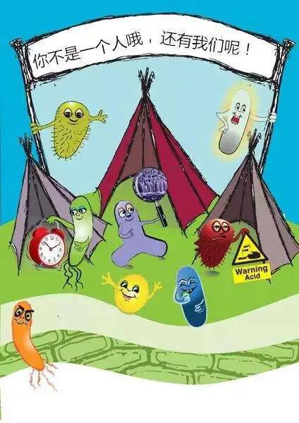 人體(ti) 腸道內(nei) 的菌群是如何建立的<strong>腸道</strong>？