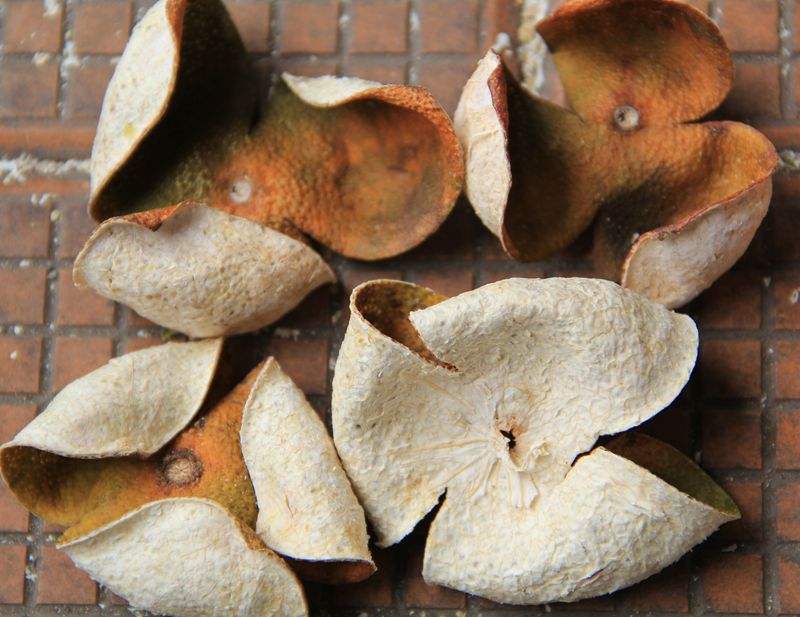 陳皮是什麽(me) 果實的皮陳皮是什麽(me) 皮子