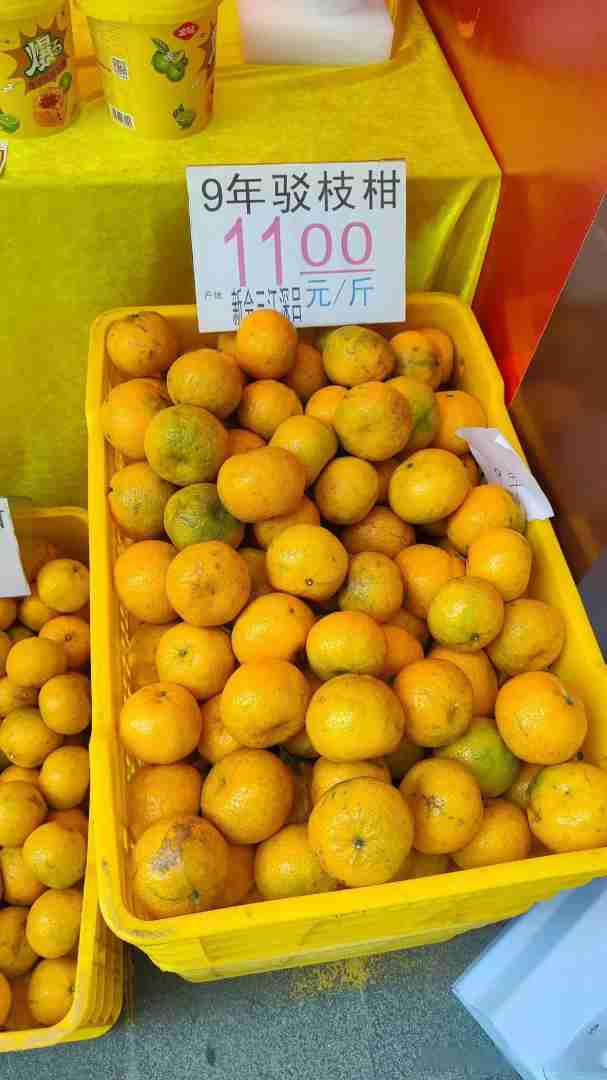 陳皮是什麽(me) 品種果子的皮陳皮是什麽(me) 品種果子的皮好吃