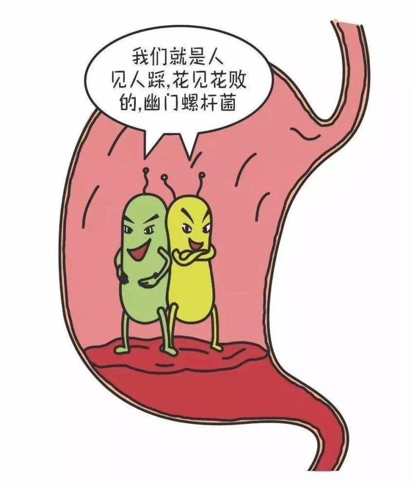 幽門螺旋杆菌如何感染的慢性胃炎的症狀表現有哪些 幽門螺旋杆菌如何感染的慢性胃炎的症狀表現有哪些