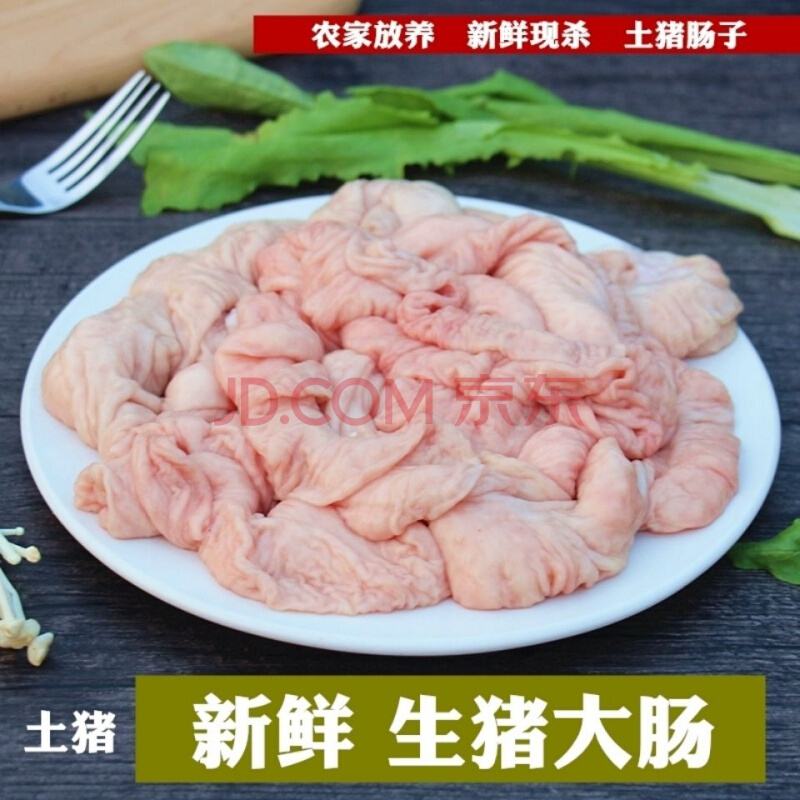 腸子腸子在線看