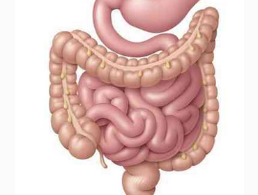 結腸炎的症狀有哪些,結腸炎